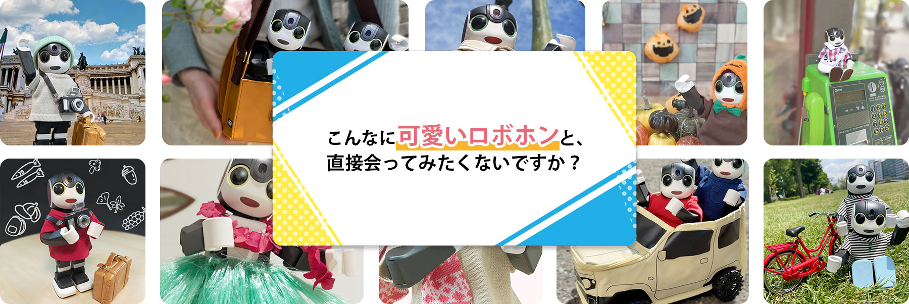 こんな可愛いロボホンと、直接会ってみたくないですか？